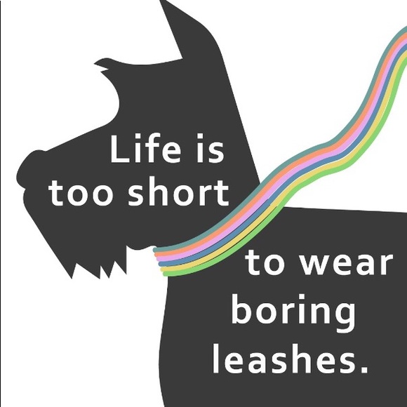 Elegant Small Dog Scarf Leash - Picture 7 of 7